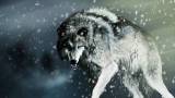 Могучий волк