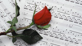 Роза на нотах