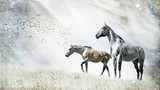 Рисованные лошади